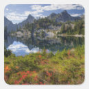 Search for wa stickers Judy wild