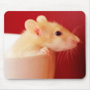 Search for rat mousepads Photography