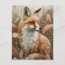 Search for red foxes postcards Forest