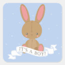 Search for bunny rabbit baby shower stickers Boy