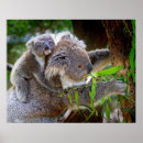 Search for accessorie posters Home
