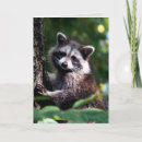 Search for speedy recovery cards Encouragement