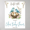 Search for hatching posters Birds