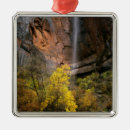 Search for large format christmas tree decorations Usa
