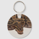 Search for ball python snake accessories Royal