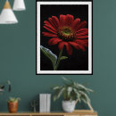 Search for single flower posters Petals