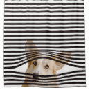 Search for funny dog shower curtains Animals