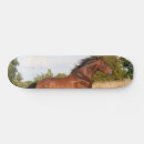 Search for beautiful skateboards Lovely