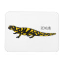 Search for salamanders magnets Reptile