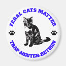 Search for tortoiseshell magnets Tortie