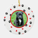 Search for feline christmas tree decorations Cat photo