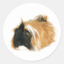 Search for fuzzy animal stickers Furry