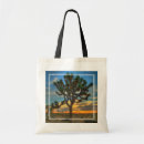 Search for mojave bags California