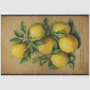 Search for lemon tissue paper Ephemera
