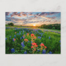 Search for texas bluebonnet postcards Springtime