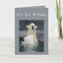 Search for polar bear birthday cards Animal