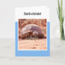Search for tortoise birthday cards Wildlife