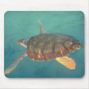 Search for turtle mousepads Underwater