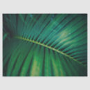 Search for green leaf tissue paper Exotic