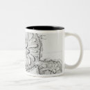 Search for birds eye mugs Aerial
