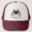 Search for spiders hats Cartoon