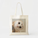 Search for cute owl bags Birds