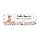 Search for vizsla return address labels Hungarian pointer