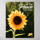 Search for peace flower photography Nature
