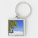 Search for cook islands key rings Palm