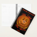 Search for pumpkins planners Halloween