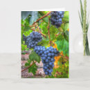 Search for napa cards Grapes