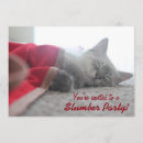 Search for cat sleepover invitations Kitten