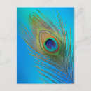 Search for tail feathers postcards Bird
