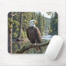 Search for bald tree mousepads Nature