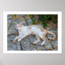 Search for awaking posters Cute