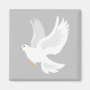 Search for white birds magnets Inspirational
