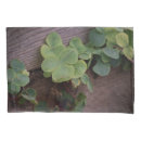 Search for shamrock pillowcases Shamrocks