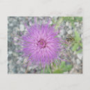 Search for bees postcards Girl