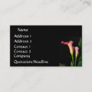 Search for chick business cards Elegant