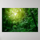 Search for sunlit art Jungle