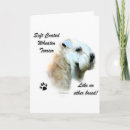 Search for dog coat cards Soft