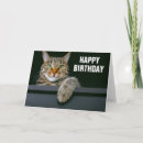 Search for tabby cat birthday cards Kitten