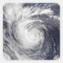 Search for ele stickers Photography