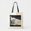 Search for innocent bags Cute