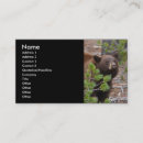 Search for black bear business cards Animal