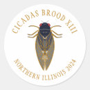 Search for cicada bug stickers Brood xiii