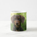 Search for dachshund mugs Animal