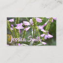 Search for original business cards Photography