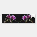 Search for black beauty bumper stickers Red