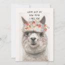 Search for llama funny cards Watercolor